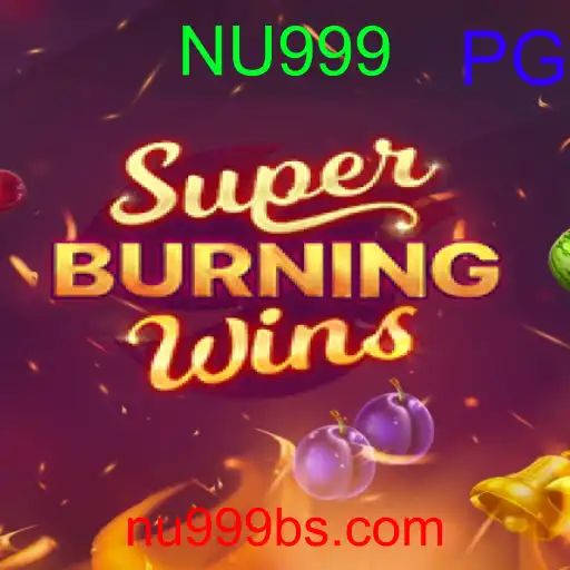 SuperBurningWins